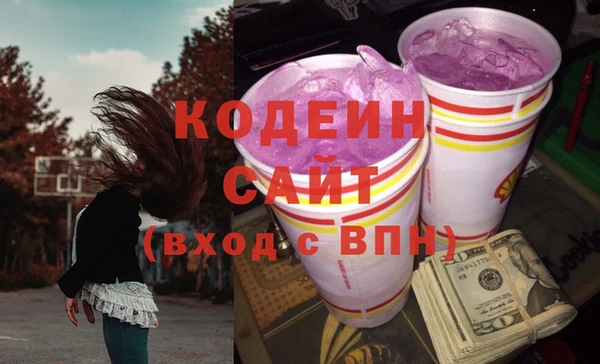 спайс Корсаков