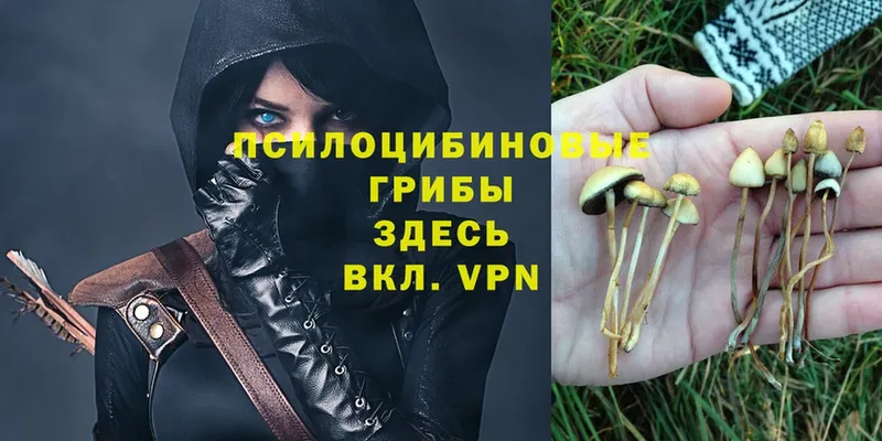 Галлюциногенные грибы MAGIC MUSHROOMS  Копейск 