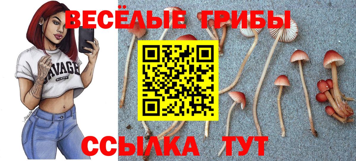 Псилоцибиновые грибы мухоморы  Вход с VPN  Галлюциногенные грибы Psilocybe  Копейск 