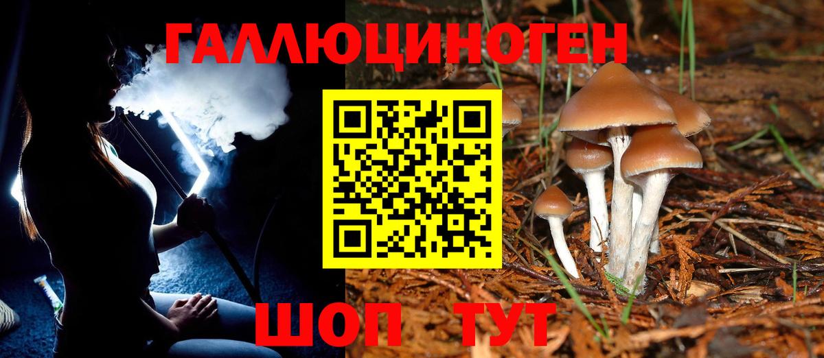 Галлюциногенные грибы Psilocybine cubensis Копейск